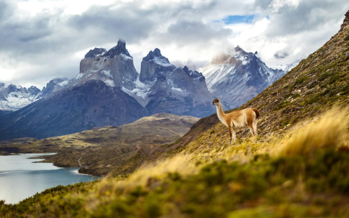 americatours - chile - contrastes de chile.jpg